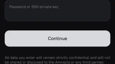 Captura de tela de Amnezia VPN 11