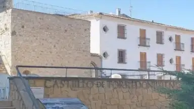 Captura de tela de Google Earth 11