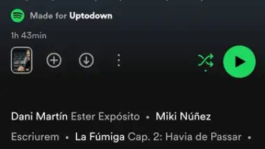 Captura de tela de Spotify 12