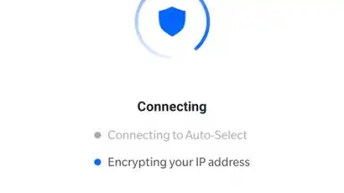 Captura de tela de DeerShield - Free VPN 5