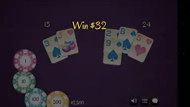 Captura de tela de BlackJack 21 Pro 1
