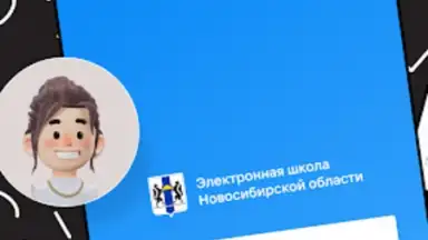 Captura de tela de Дневник Новосибирской области 10