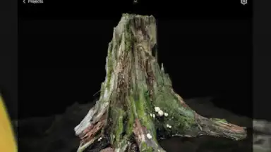 Captura de tela de RealityScan - 3D Scanning App 13