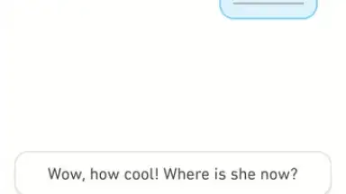 Captura de tela de Duolingo 9