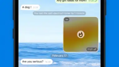 Captura de tela de Potato chat 12