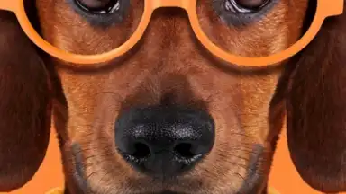 Captura de tela de Samsung LockStar 5