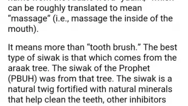 Captura de tela de Prophetic Medicine & Herbalist 4