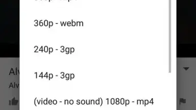 Captura de tela de SnobTUBE - Video Audio Downloader 4