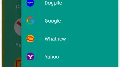 Captura de tela de Google Search Alternatives 3