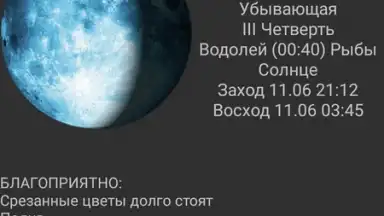 Captura de tela de Garden lunar calendar 2
