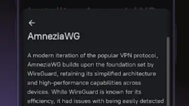 Captura de tela de Amnezia VPN 4