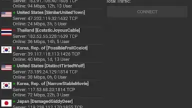 Captura de tela de VPN Servers 5