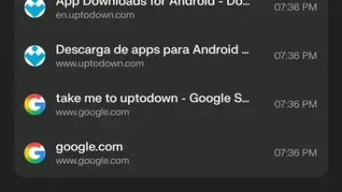 Captura de tela de Comet Browser 11
