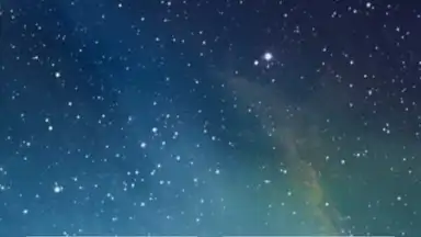 Captura de tela de Call Screen 14