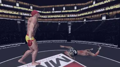 Captura de tela de MMA Fighting Clash 17