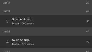 Captura de tela de Quran Android 1