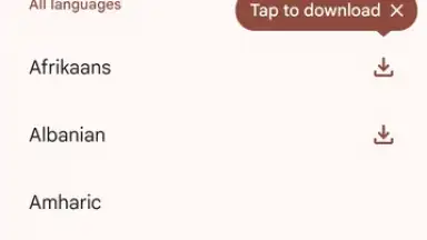 Captura de tela de Google Translate 9