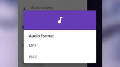 Captura de tela de MP3 Recorder 9