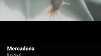 Captura de tela de YouTube Music 3