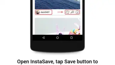 Captura de tela de InstaSave 6