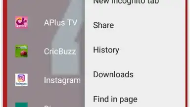 Captura de tela de 4K Browser 5