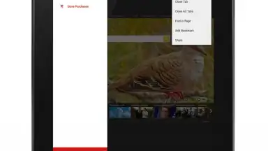 Captura de tela de Anonymous Browser 17