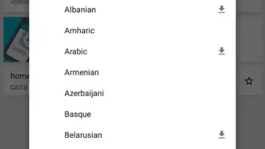 Captura de tela de Google Translate 7