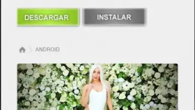 Captura de tela de GetThemAll Any File Downloader 3