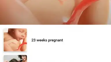 Captura de tela de Pregnancy + 21