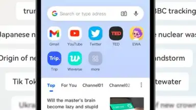 Captura de tela de DDU Browser 2