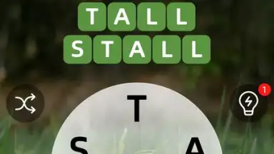 Captura de tela de Zen Word 20