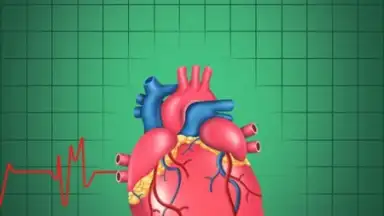 Captura de tela de Cardiac Hospital 4
