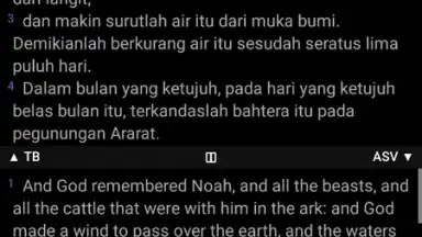 Captura de tela de Alkitab 7
