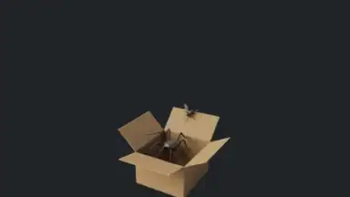 Captura de tela de BlockP - AI Porn Blocker / Block Site 11