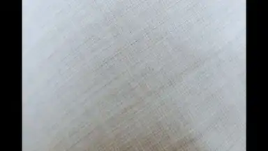 Captura de tela de HedgeCam 2 6