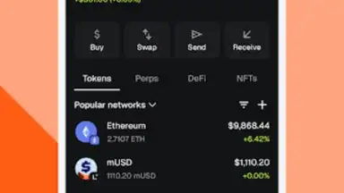Captura de tela de MetaMask 1