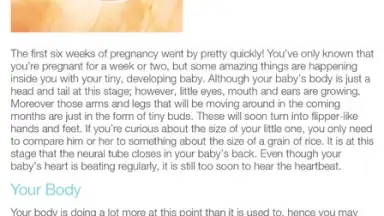 Captura de tela de Pregnancy + 6
