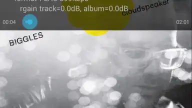 Captura de tela de Vanilla Music 3