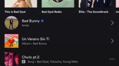 Captura de tela de Spotify 6