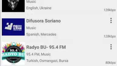 Captura de tela de Radio FM 2