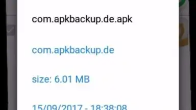 Captura de tela de APK Backup(Pro) 3