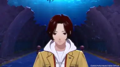Captura de tela de 女神异闻录：夜幕魅影 7