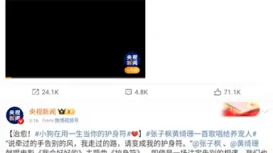 Captura de tela de Weibo 8