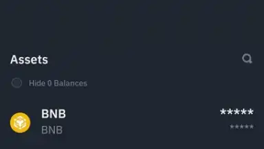 Captura de tela de Binance 13