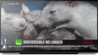 Captura de tela de KgTv Player - IPTV Player 13