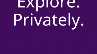 Captura de tela de Tor Browser 18