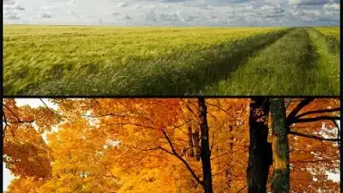 Captura de tela de Samsung Photo Editor 3