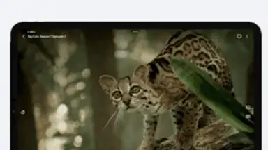 Captura de tela de VidHub 15