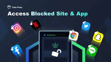 Captura de tela de Tesla Proxy 3