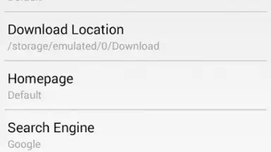 Captura de tela de lnternet Exp1orer 2